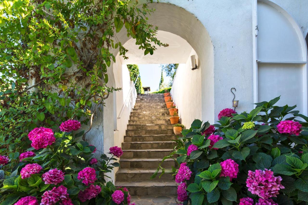 La Almunia Del Valle モナチル エクステリア 写真