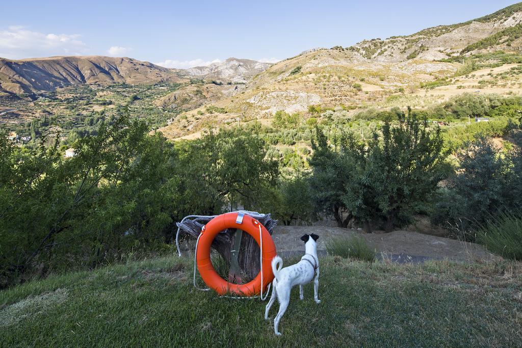 La Almunia Del Valle モナチル エクステリア 写真