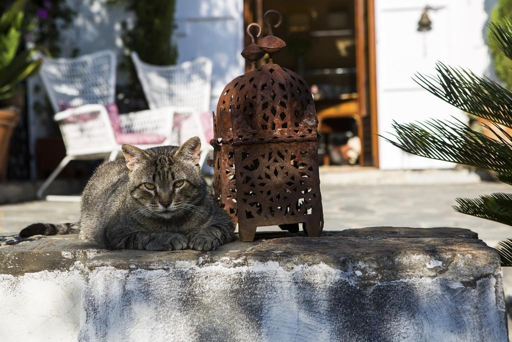 La Almunia Del Valle モナチル エクステリア 写真